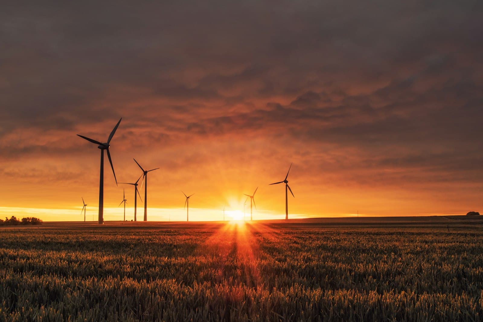 Bundesregierung stellt neue Förderprogramme für Klimaschutz vor